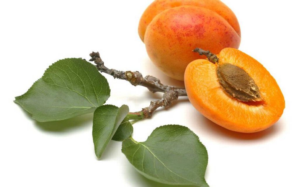 Les amandes de noyaux d'abricots certifiées biologique anti cancer naturel grâce à la vitamine B17