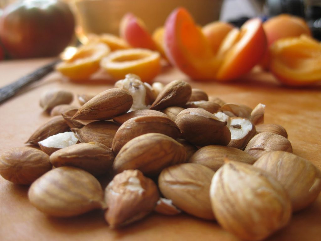 Les amandes de noyaux d'abricots certifiées biologique anti cancer naturel grâce à la vitamine B17